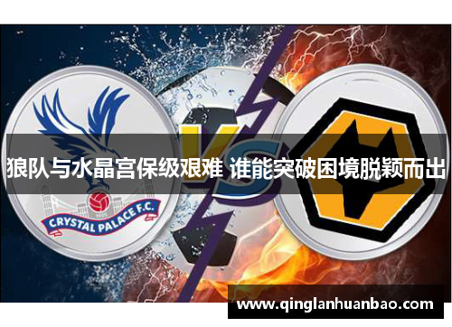 狼队与水晶宫保级艰难 谁能突破困境脱颖而出